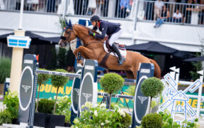 Olimpiadi: Viking d'la Rousserie (Kein Staut) non ha passato la visita veterinaria