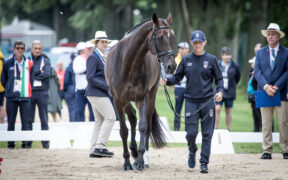 Parigi 2024: i cavalli del Team Italy di completo hanno superato l'ispezione preliminare