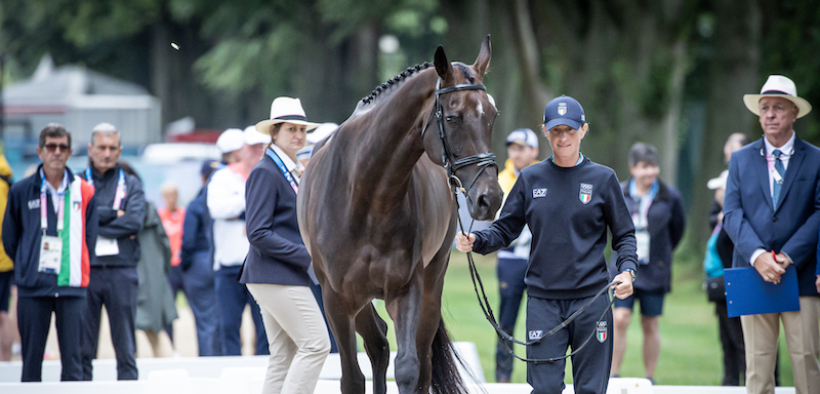 Parigi 2024: i cavalli del Team Italy di completo hanno superato l'ispezione preliminare