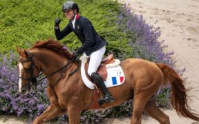 Simon Delestre non potrà contare su Cayman Jolly Jumper per Parigi 2024