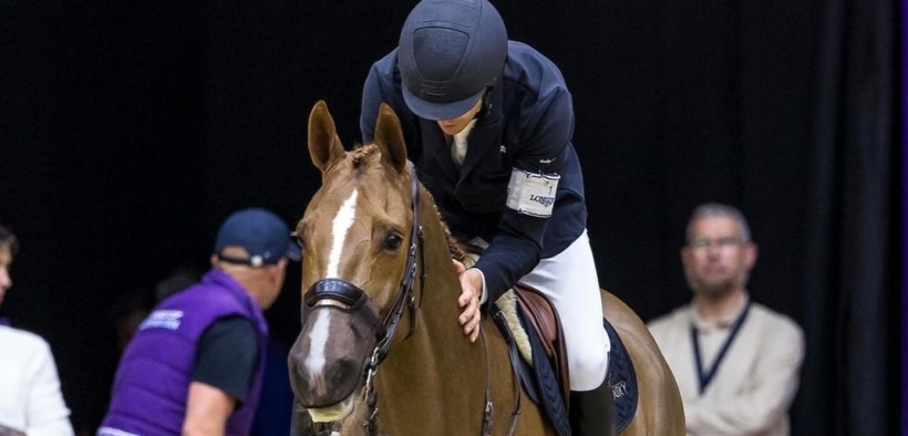 I migliori cavalli del momento secondo la classifica Hippomundo