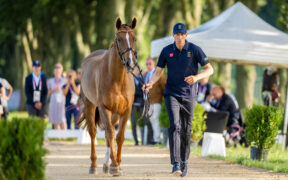 Parigi 2024: i cavalli da salto sono pronti a gareggiare a Versailles