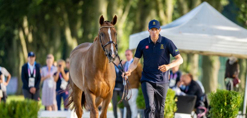 Parigi 2024: i cavalli da salto sono pronti a gareggiare a Versailles