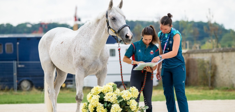 Salute dei cavalli olimpici: sì alla deroga dei casi con Metrite Equina Contagiosa