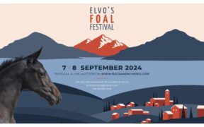 Save the date, 7/8 settembre: Elvo's Foal Festival 2024