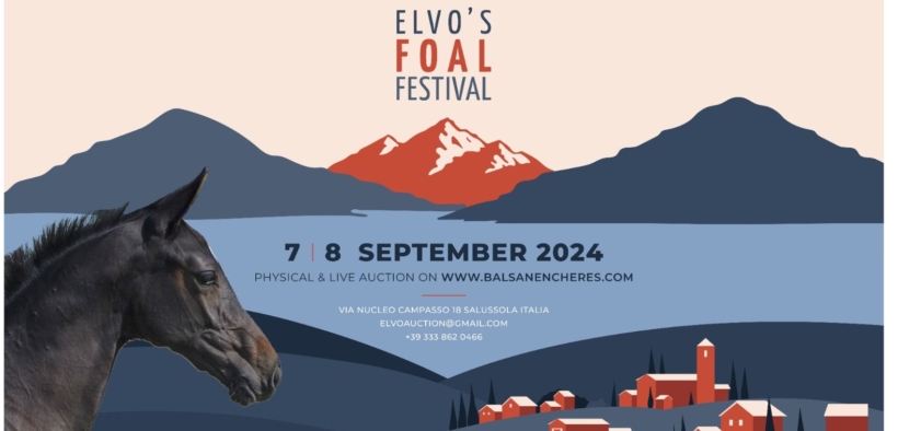 Save the date, 7/8 settembre: Elvo's Foal Festival 2024