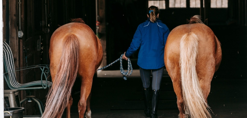 Un nuovo studio norvegese sta indagando sul tema abusi sessuali nell’ambiente equestre