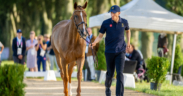 Aggiornamento Longines Ranking Jumping: continua la supremazia di von Eckermann