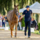 Aggiornamento Longines Ranking Jumping: continua la supremazia di von Eckermann