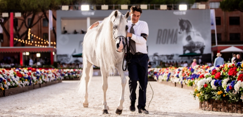 Il Global Champions Arabians Tour di Roma culmina tra vittorie spettacolari e tante celebrità