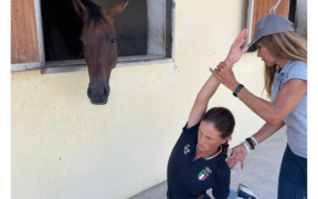 La mobilità articolare nella pratica dell'equitazione