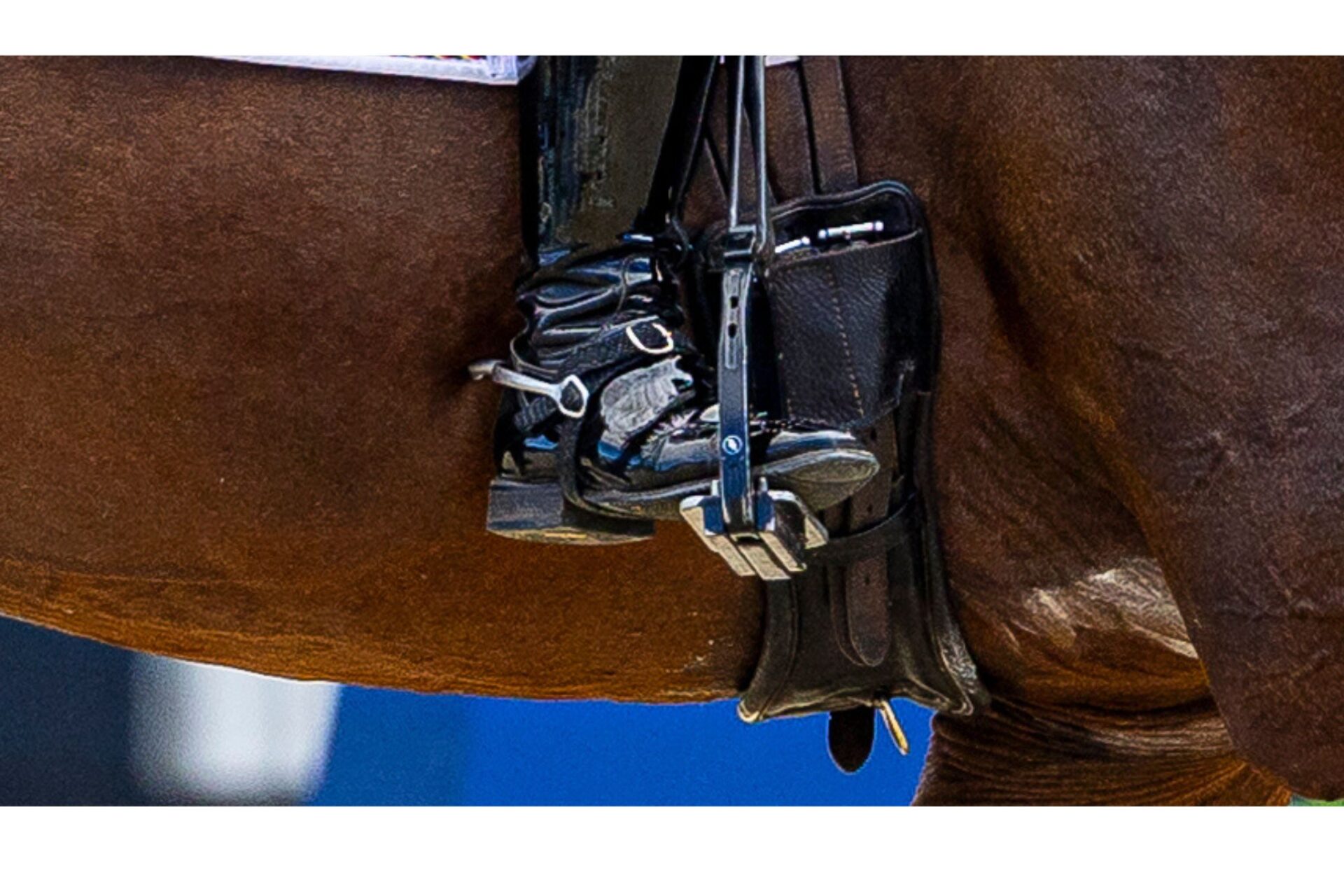 La non obbligatorietà degli speroni nel Dressage diventa effettiva anche negli USA 1