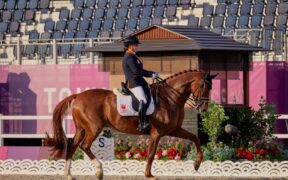Le star dell'equitazione paralimpica sono pronte ad iniziare a Versailles