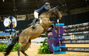 Legacy è la nuova numero uno nella classifica allevatori WBFSH