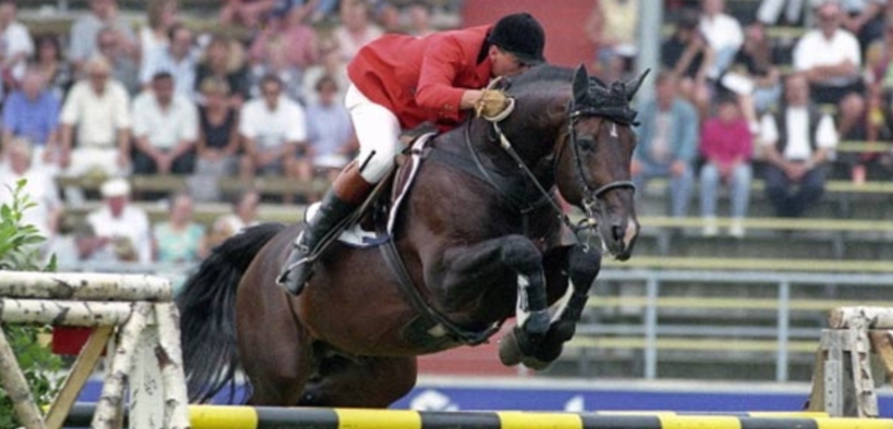 Quali stalloni hanno la maggiore influenza come nonni materni?