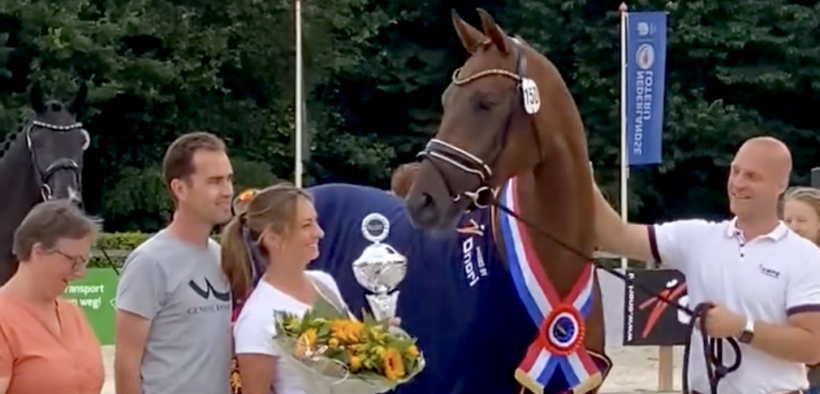 Raspoetin-K van Kattenheye è la Campionessa 2024 KWPN Mare