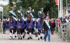 Completo: all'Irlanda la vittoria nella Finale FEI Nations Cup™