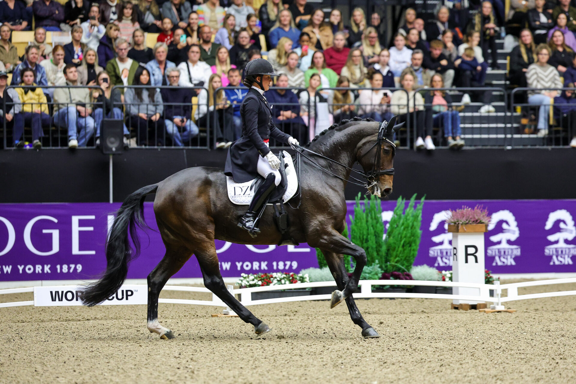 Dressage: Laudrup-Dufour brilla nella World Cup™ di Herning