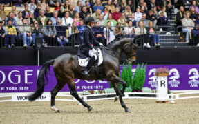 Dressage: Laudrup-Dufour brilla nella World Cup™ di Herning