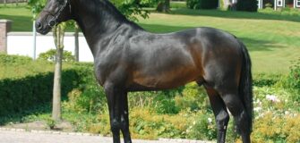 E' mancato il grande Contendro I