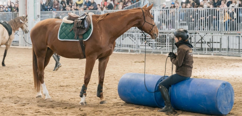 Fieracavalli: una nuova App per il benessere dei cavalli