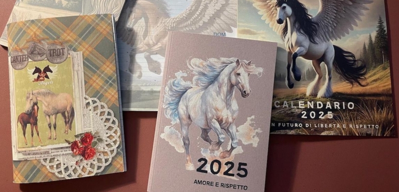 Già disponibili i Gadget/Regali di Natale targati Horse Angels!