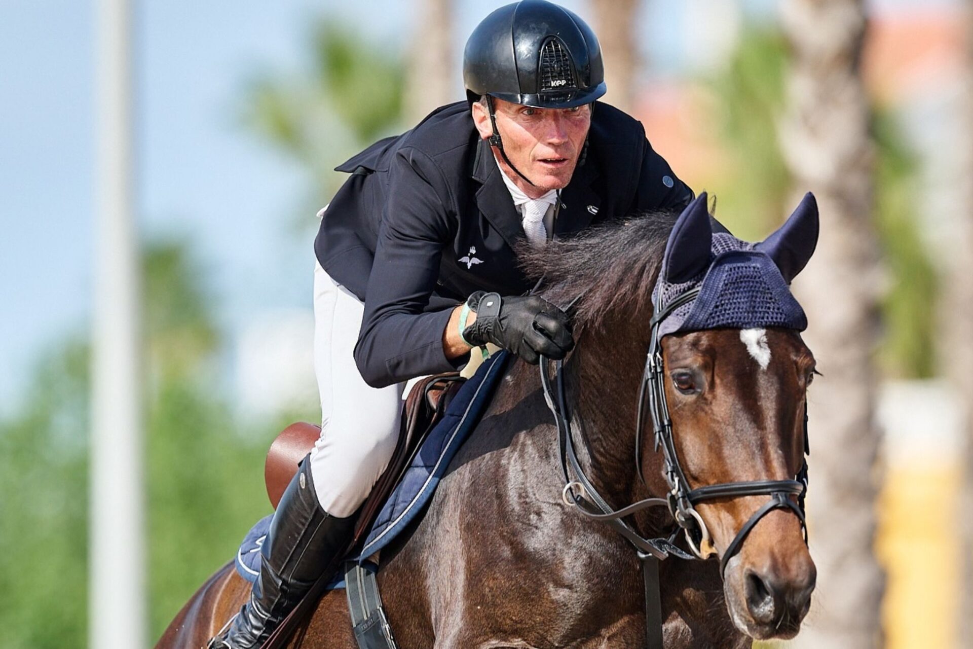 Grand Prix Internazionali: ecco i podi (#week 41) 2