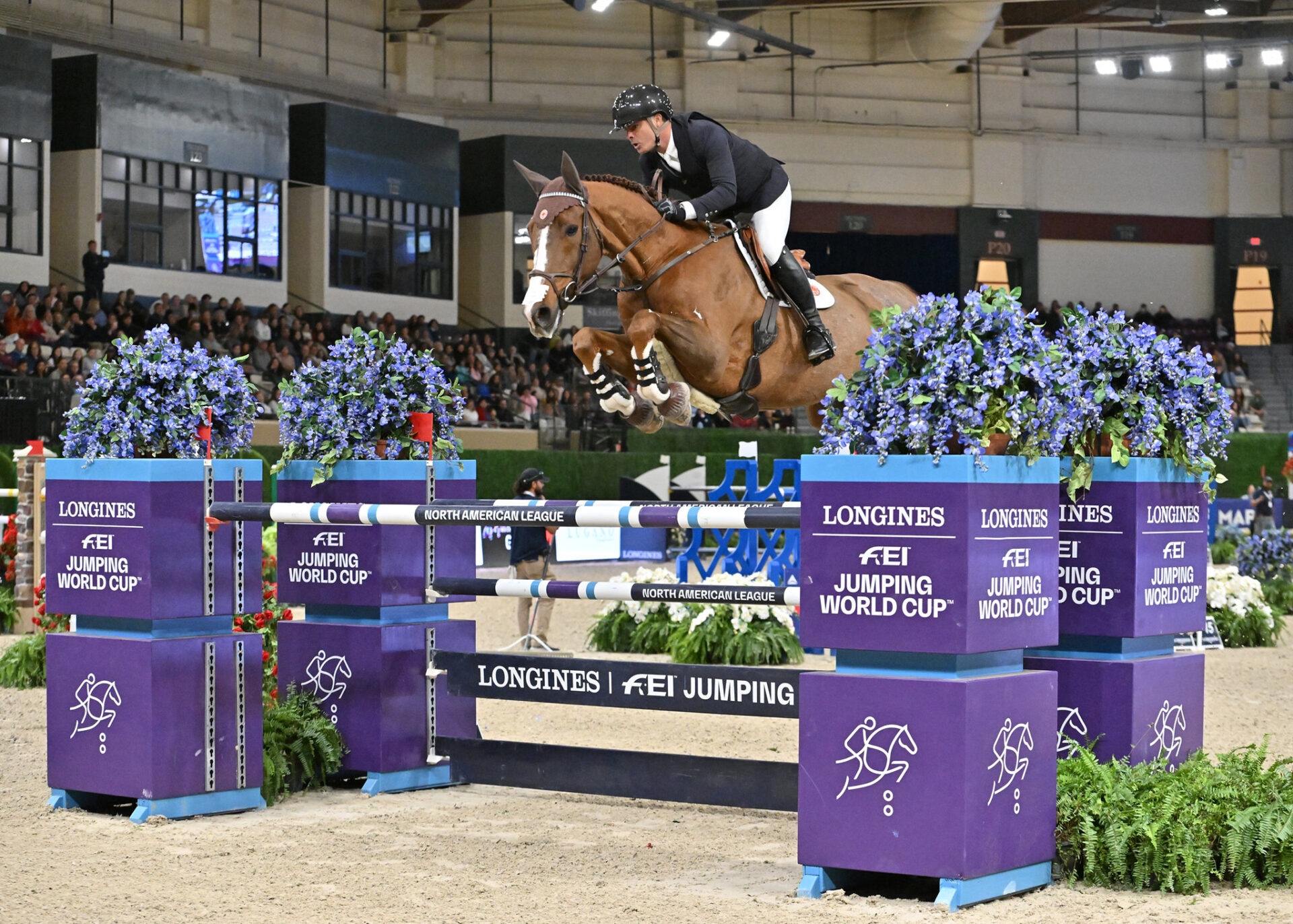 Grand Prix Internazionali: ecco i podi (#week 43) 1