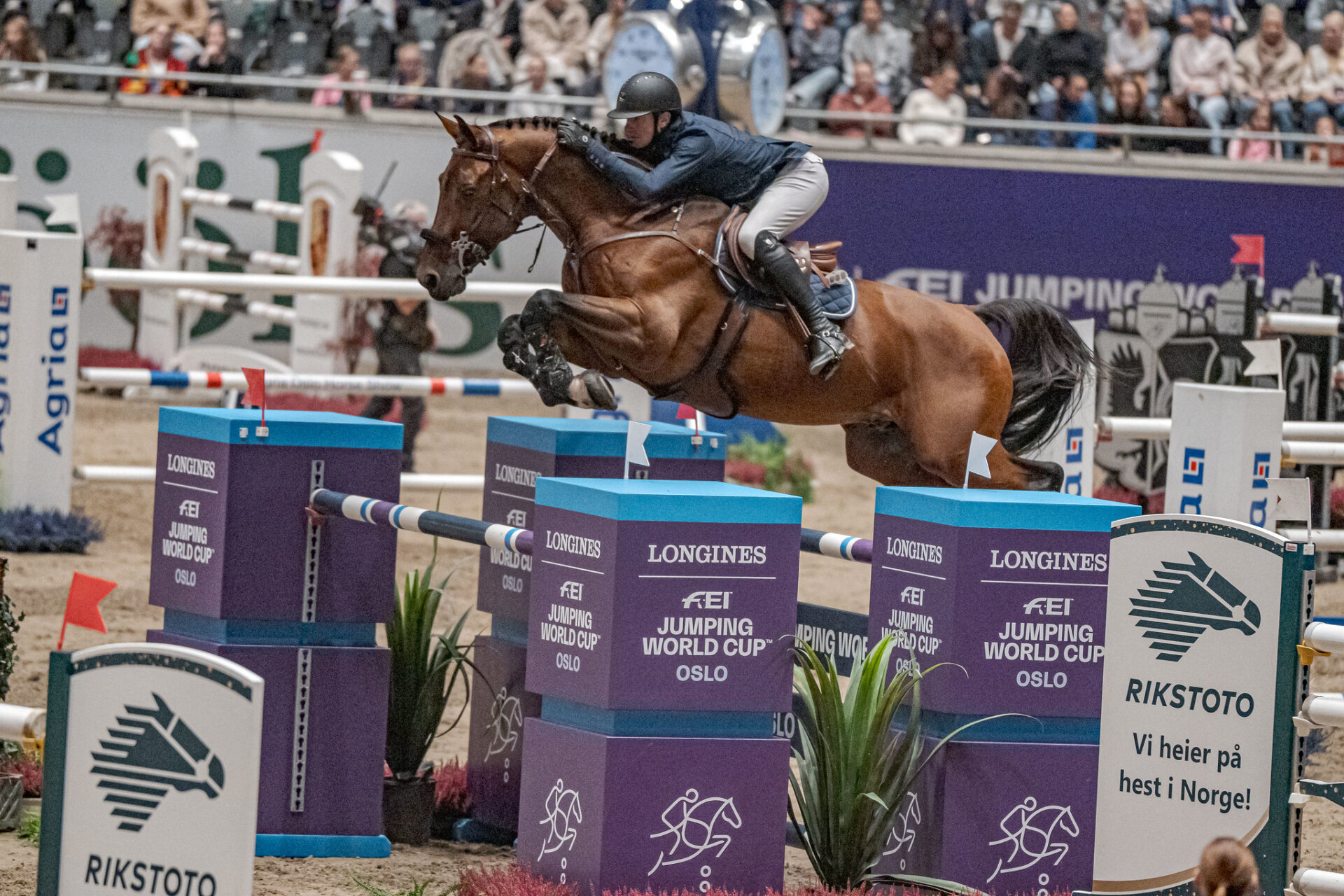 Gregory Wathelet sigla il GP Longines FEI Jumping World Cup™ ad Oslo (CSI5*-W)