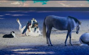 Inclusione sociale e solidarietà per la 126^ edizione di Fieracavalli