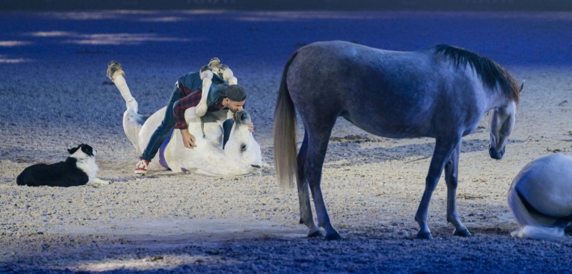 Inclusione sociale e solidarietà per la 126^ edizione di Fieracavalli