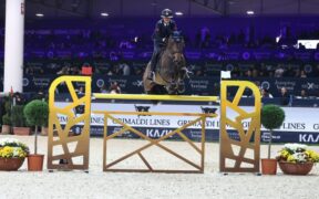 Jumping Verona: numeri e nomi importanti