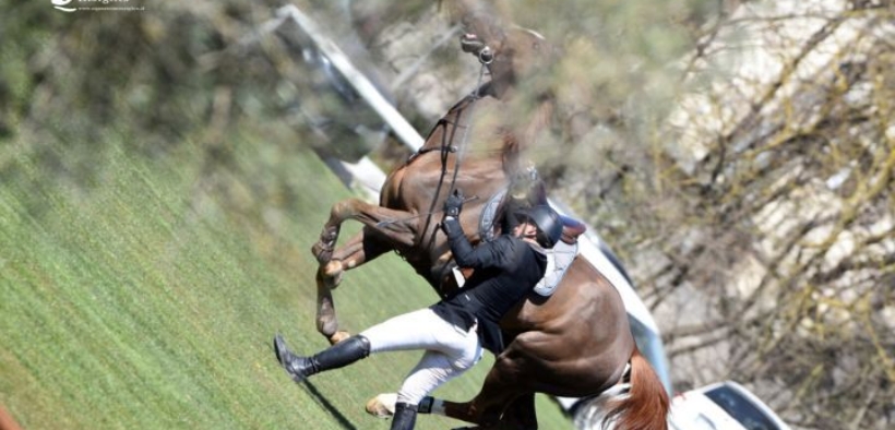 Manifestazioni e cavalli (part 2): e se capita un incidente?