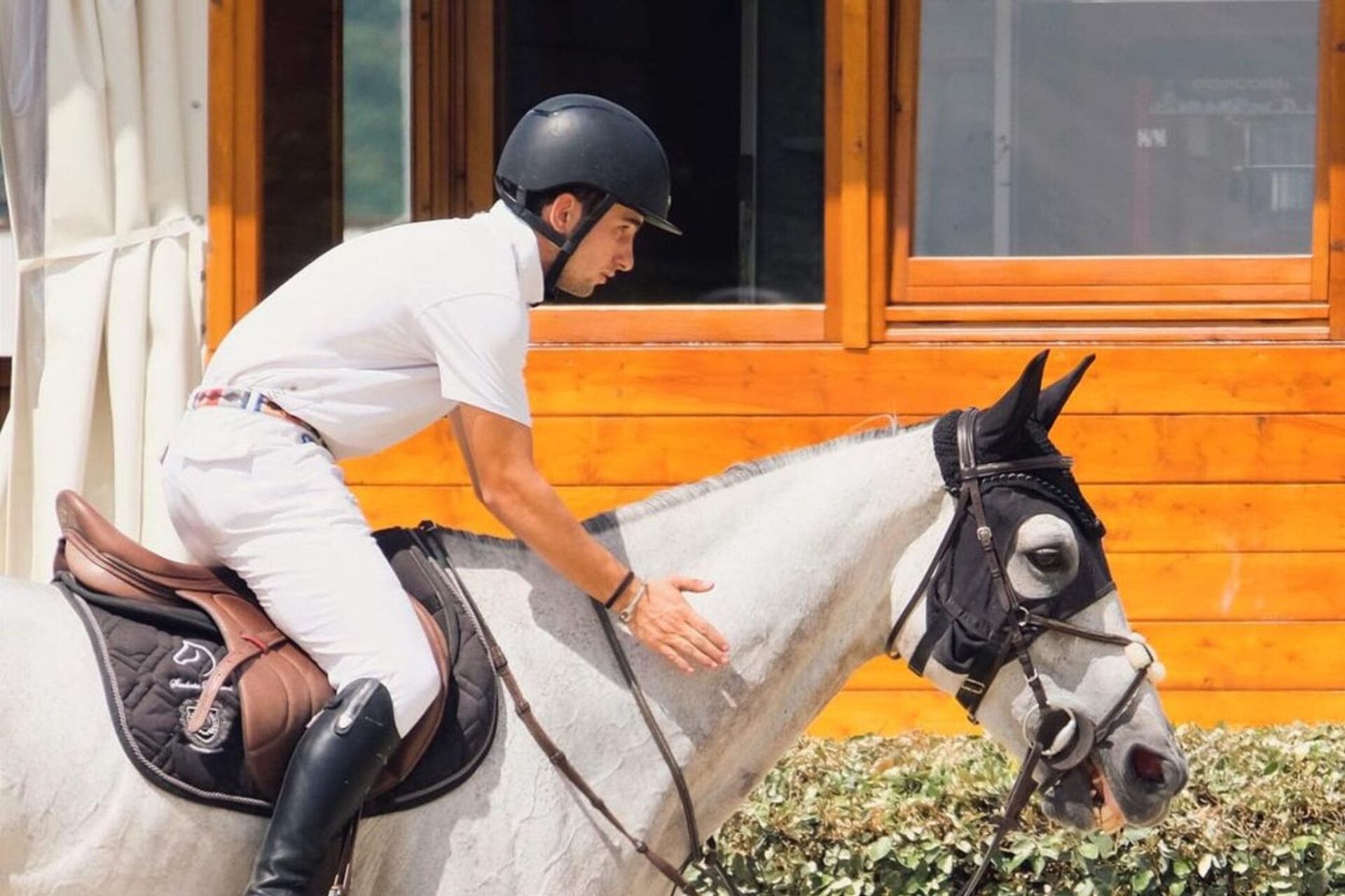 Massimo Pacciani vince la 145 LR di San Giovanni in Marignano, Ciriesi 3° (CSI3*)