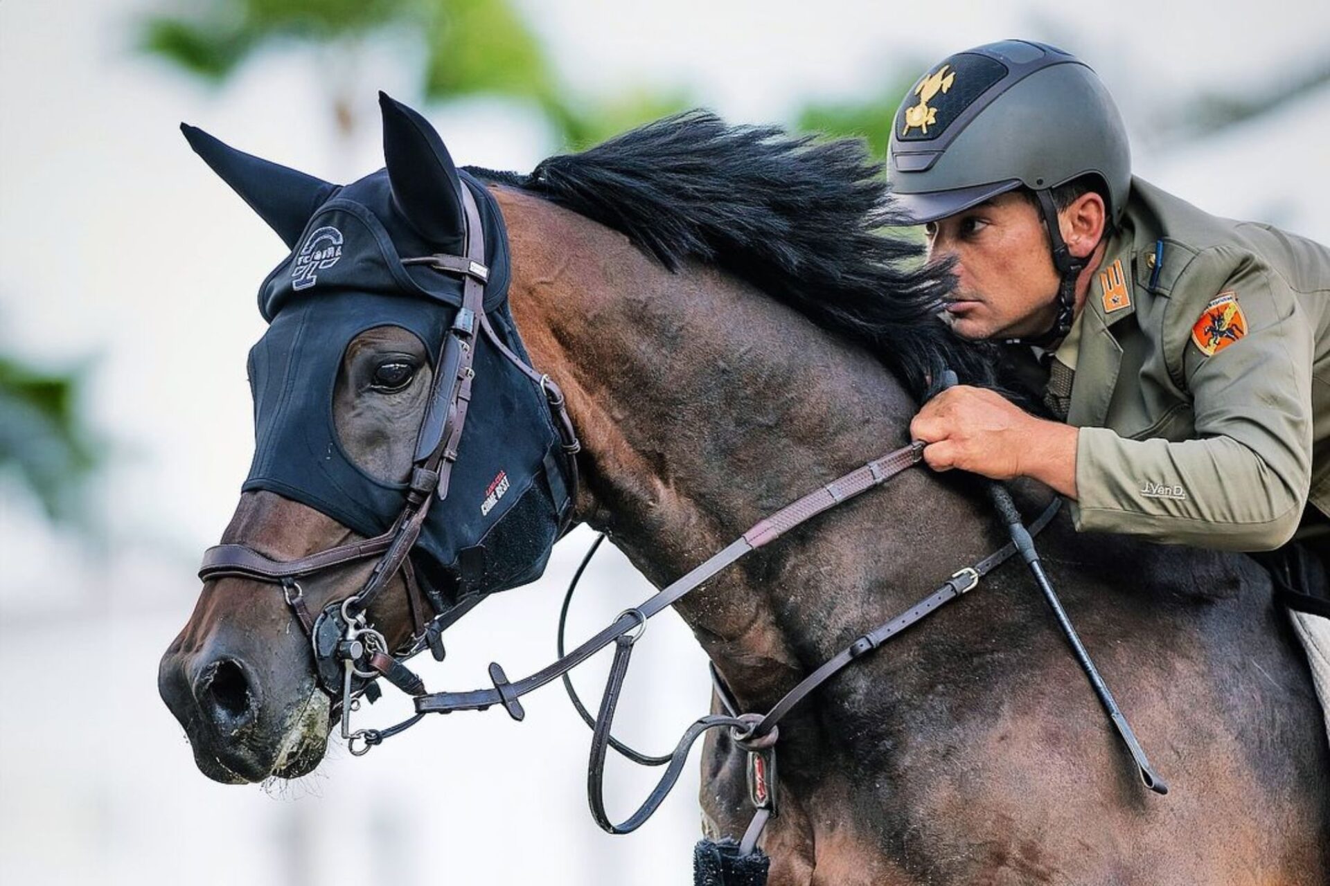 Piazza d’Onore per Nico Lupino nella 145 LR di S. Giovanni in Marignano (CSI2*)