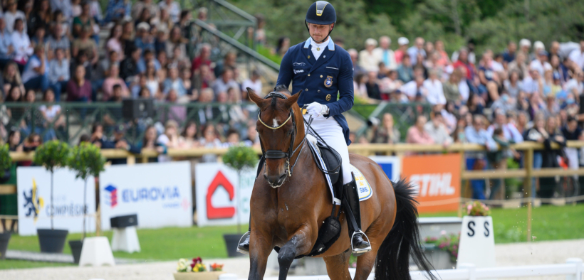 Quali stalloni da Dressage si distinguono in base alle prestazioni della loro prole?
