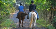Via libera in Lombardia per il progetto di legge sul turismo equestre ed ippovie