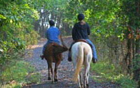 Via libera in Lombardia per il progetto di legge sul turismo equestre ed ippovie
