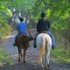 Via libera in Lombardia per il progetto di legge sul turismo equestre ed ippovie