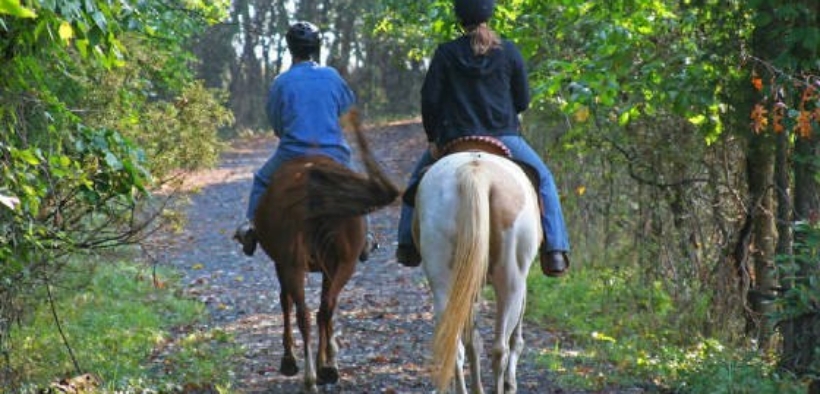 Via libera in Lombardia per il progetto di legge sul turismo equestre ed ippovie