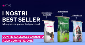 ACME presente a Fieracavalli con numerosi prodotti innovativi 1