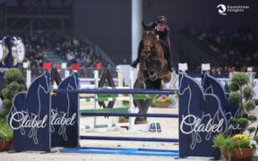 Bis di Gaudiano a Verona: sua anche la 150 LR Banca Passadore (CSI5*-W)