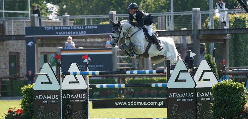 Cartello (Cartello VDL - Contino VDL - Cordoba VDL)