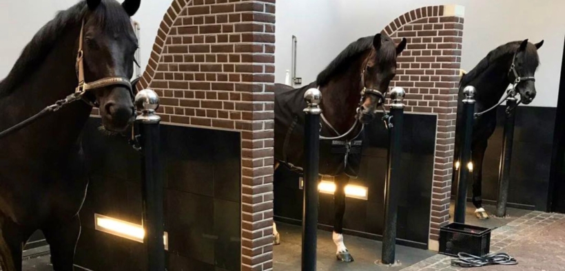 Dressage: chiude la filiale olandese del Glock Horse Performance Centre