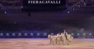 Fieracavalli 2024 chiude con 140 mila presenze da 73 paesi