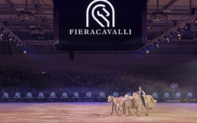 Fieracavalli 2024 chiude con 140 mila presenze da 73 paesi