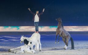 Fieracavalli: le emozioni dell'arte equestre con il Galà d'Oro Pathos
