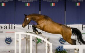 Fieracavalli: l'Italia è il paese europeo con più biodiversità