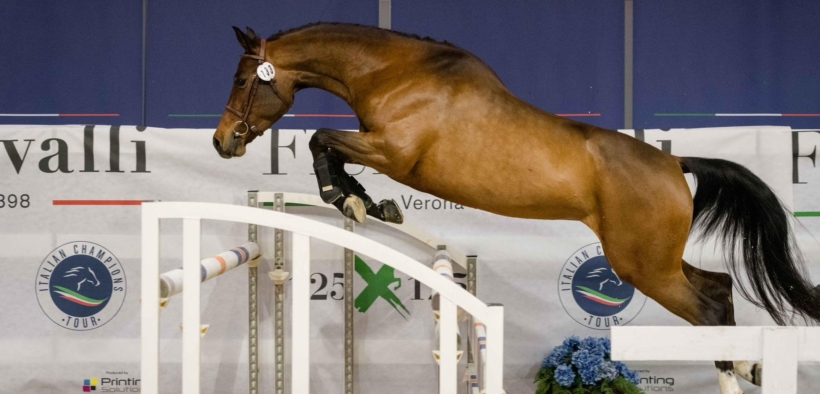 Fieracavalli: l'Italia è il paese europeo con più biodiversità