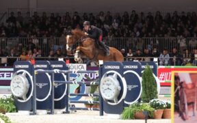 Jumping Verona entra nel vivo con le gare 5*